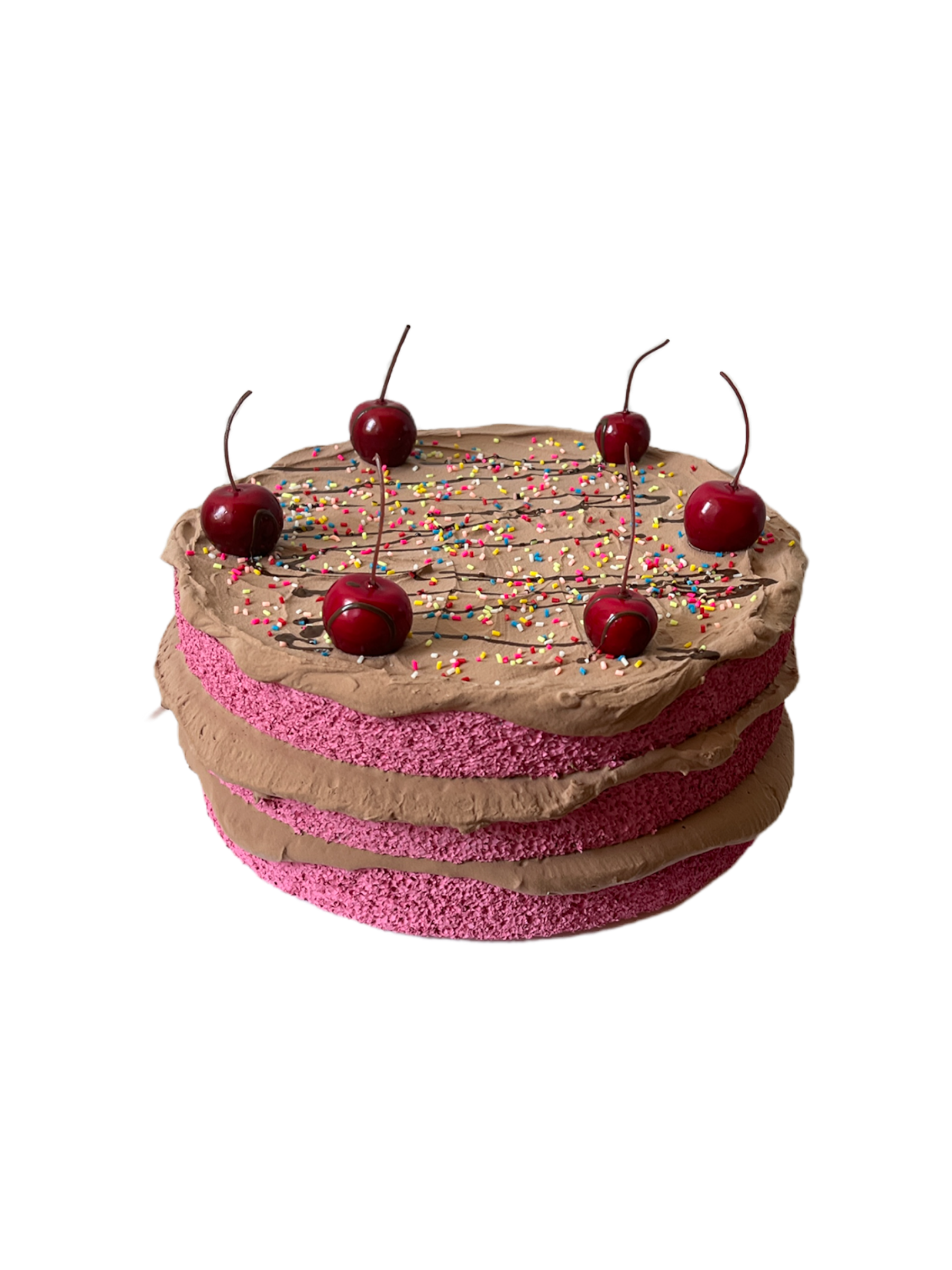 party-time-jr-pretty-shitty-cakes