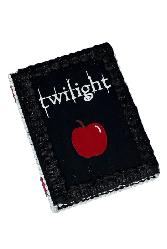 TWILIGHT STASH BOOK